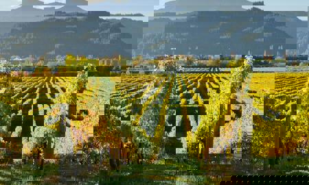 Тур Тбилиси - монастырь Джвари - Мцхета - монастырь Бодбийский - Сигнахи - Уплисцихе - Гори - Кобулети - Батуми - Фото 5