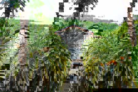 Тур Гагра - Цандрыпш - Новый Афон - Фото 2