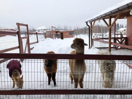 Тур Терскол - гора Эльбрус - Фото 1