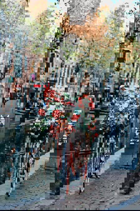 Тур Эрфурт - Кёкенхоф - Гаага* - Делфт* - Амстердам - Гент* - Париж - Гейдельберг - Фото 4