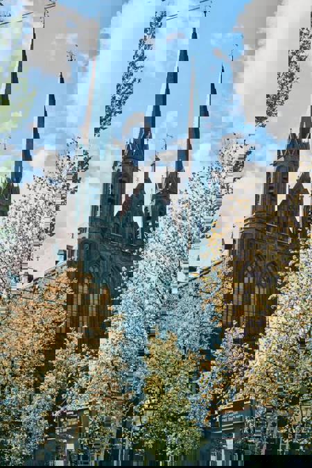 Тур Эрфурт - Кёкенхоф - Гаага* - Делфт* - Амстердам - Гент* - Париж - Гейдельберг - Фото 2