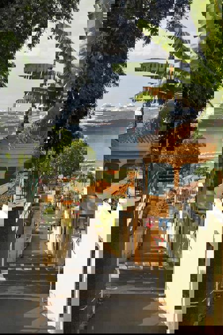 Тур Лиссабон - остров Мадейра - Фото 2