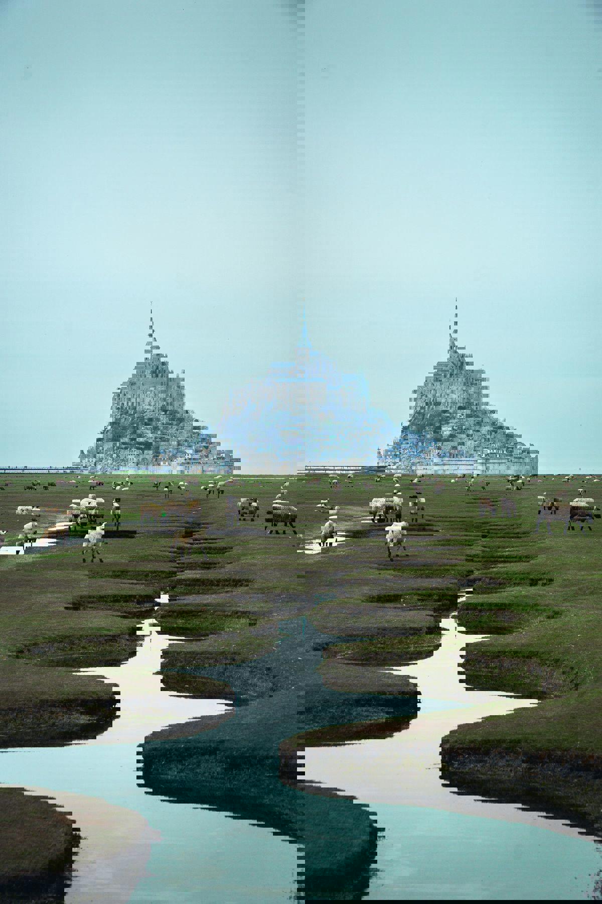 Автобусный тур Трувиль-сюр-Мер* - Потсдам - Кёльн - Брюгге* - Руан - Этрета* - Сен-Мало - Канкаль* - Мон-Сен-Мишель* - Блуа - Гейдельберг, выезд из Минскa