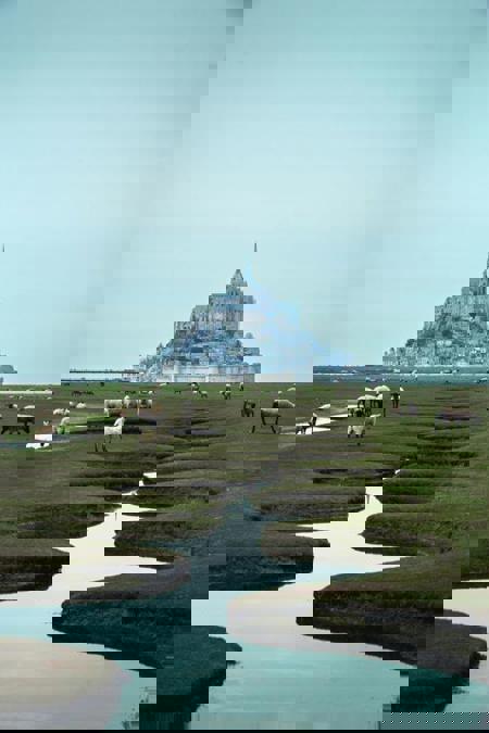 Тур Трувиль-сюр-Мер* - Потсдам - Кёльн - Брюгге* - Руан - Этрета* - Сен-Мало - Канкаль* - Мон-Сен-Мишель* - Блуа - Гейдельберг - Фото 6