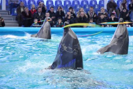 Тур Минск - Фото 2