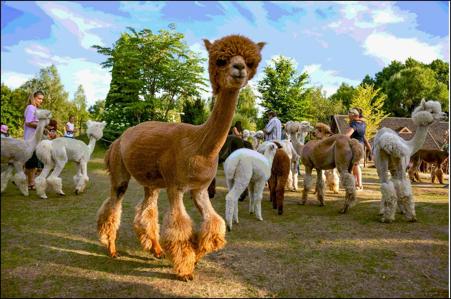 Тур Хатынь - Фото 4