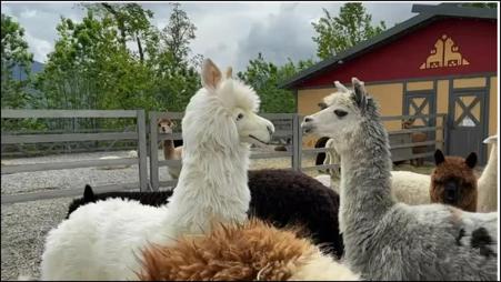 Тур Хатынь - Фото 3