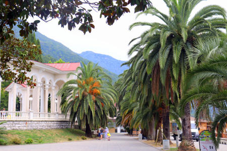 Тур Гагра - Гудаута - Пицунда - Лдзаа - Фото 2