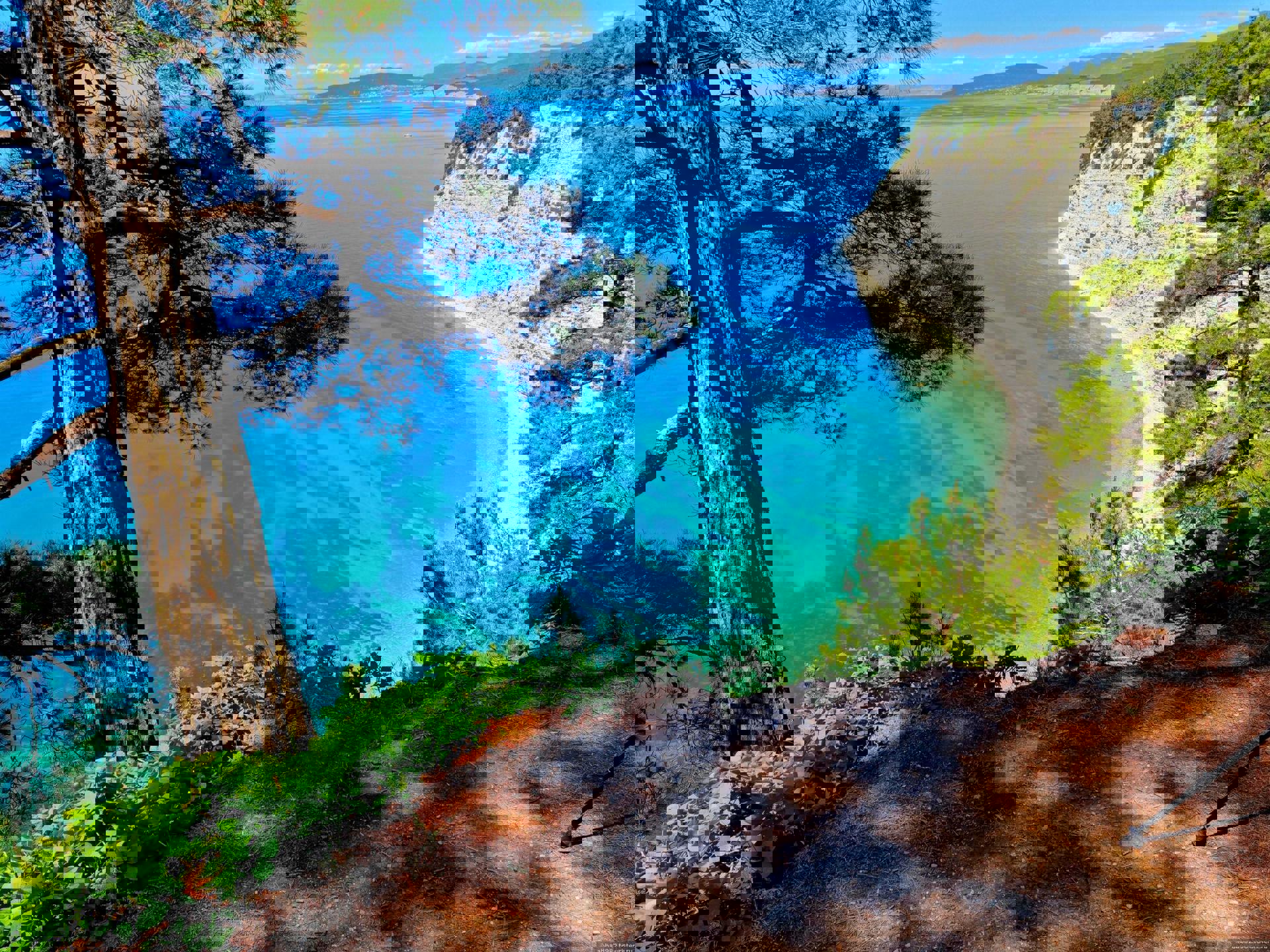 Автобусный тур Кабардинка - Геленджик - Архипо-Осиповка - Джубга - Лермонтово, выезд из Новополоцкa, Полоцкa, Витебскa, Орши, Могилевa, Кричевa